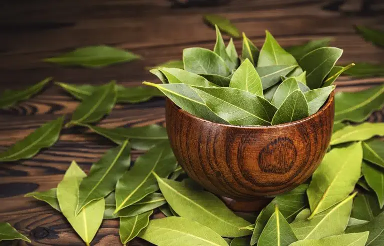 fresh-bay-leaves-in-wooden-bowl-1200-768x493.jpg.webp
