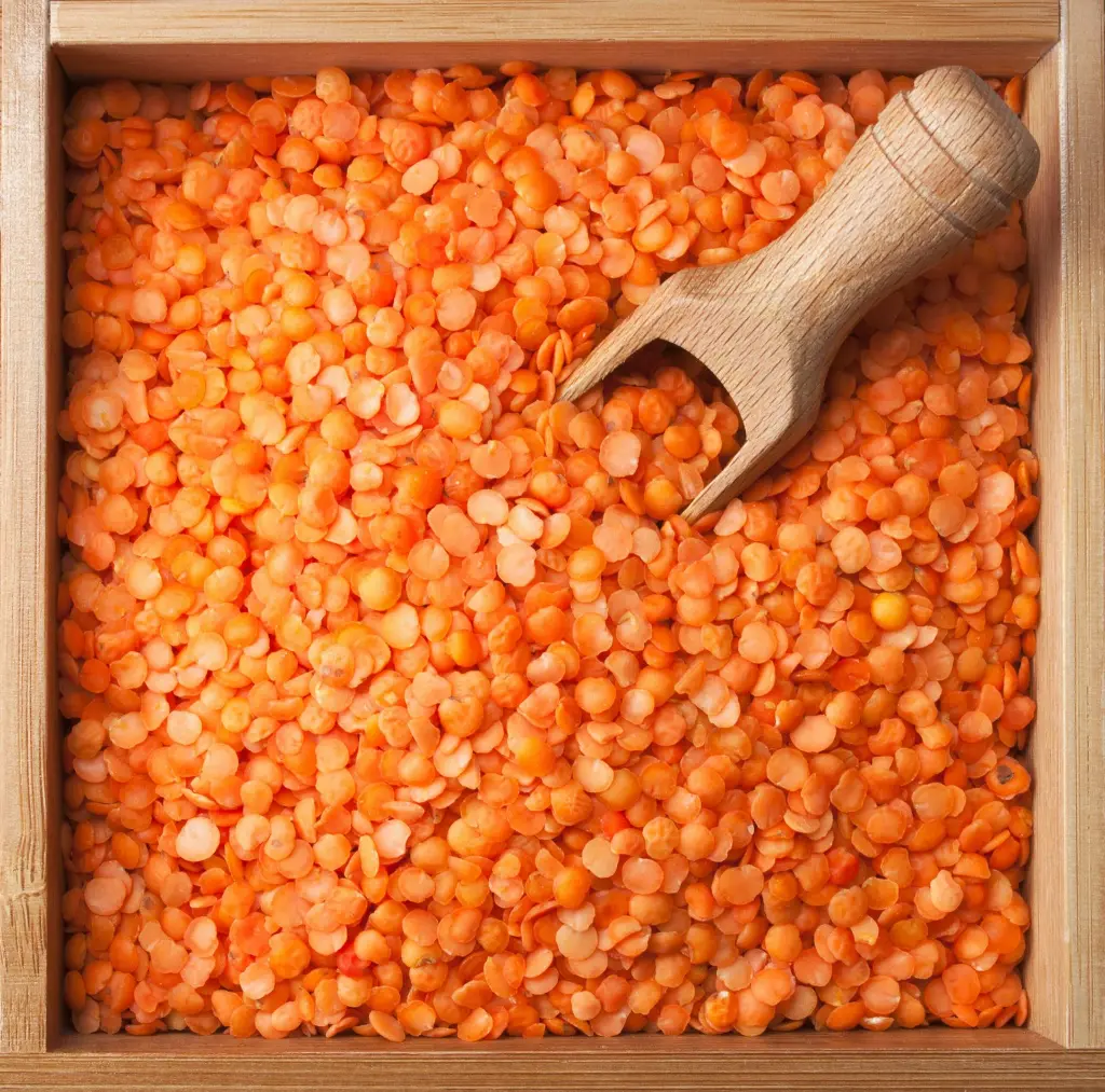 Red-Split-Lentil-scaled.webp