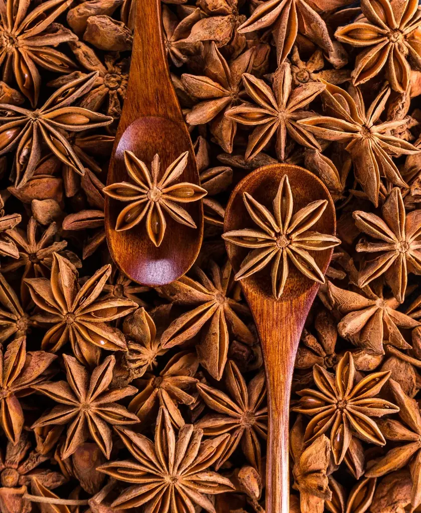 star-anise-seeds.webp
