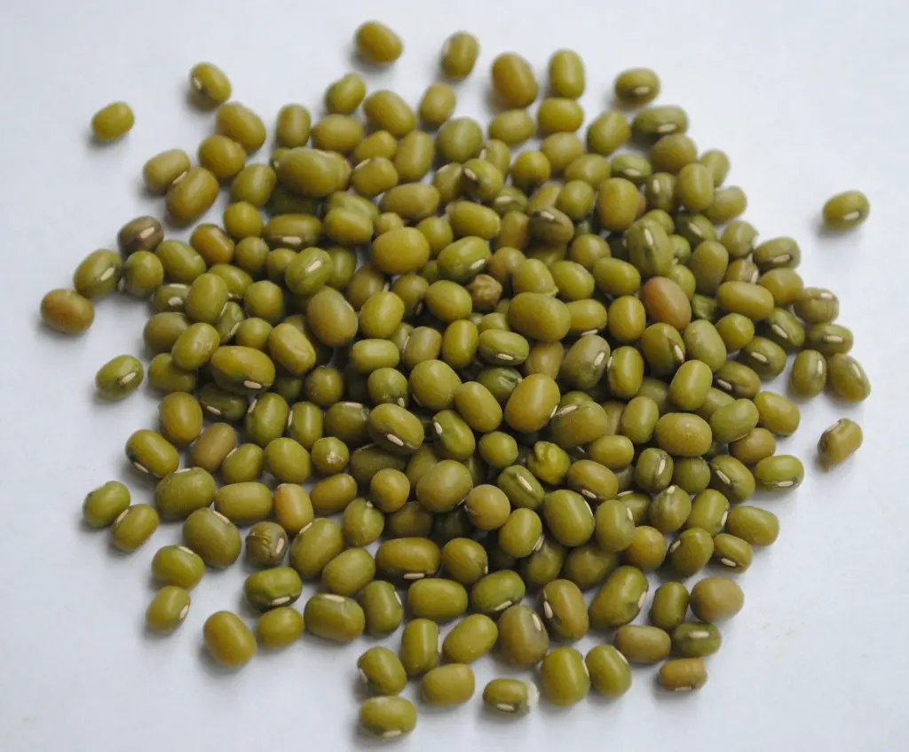 unsplash_ecpymDlXwHE_mung beans.webp