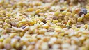 unsplash_Ec7VQ5rdlew_mung dal.webp