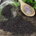 kings-tukmaria-seminte-de-busuioc-100g~2908.webp