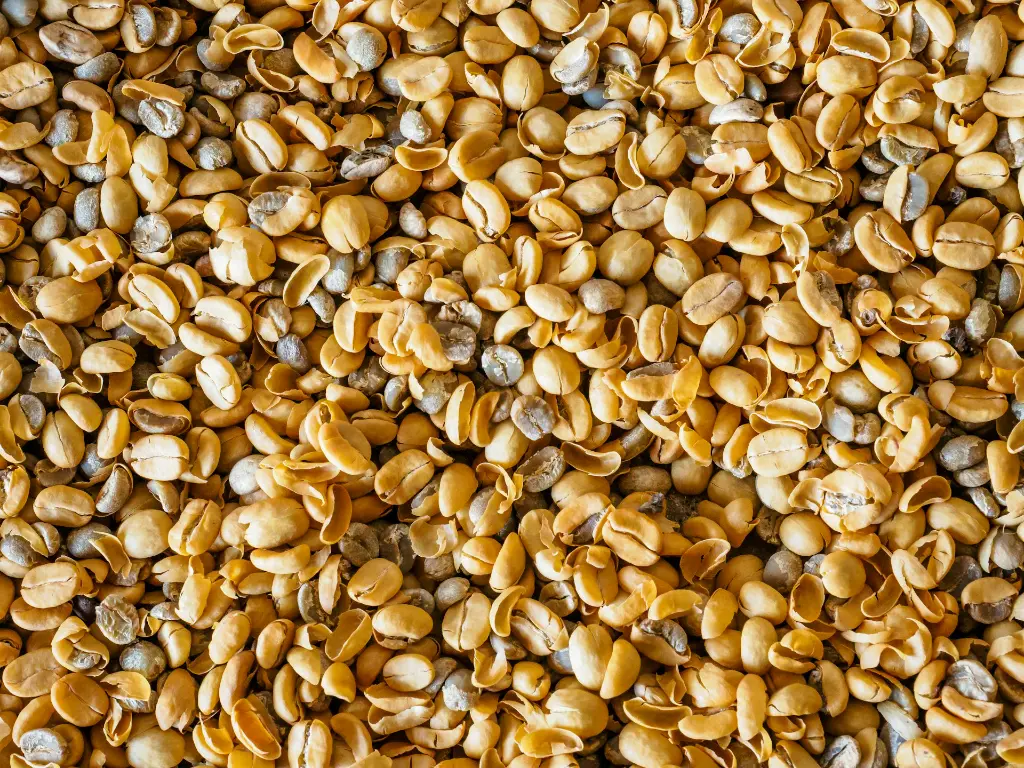 unsplash__w6x8IBWSgQ_mustard seeds.webp