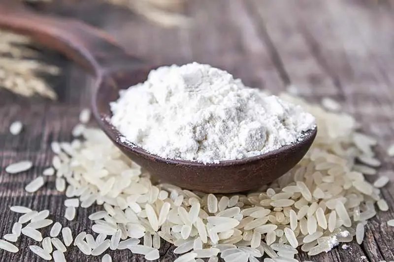 White-Rice-Flour-and-Sweet-Rice-Flour-Whats-the-Difference.webp