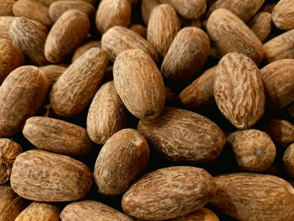 unsplash_SHD3Wg24u6I_Nutmegs.webp