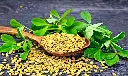 Trs methi seeds 100g1.webp