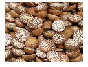 Heera white pepper whole 100g.webp1.webp